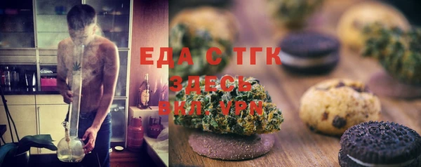 индика Бронницы