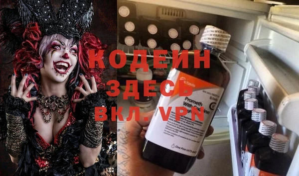 индика Бронницы