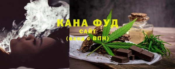 индика Бронницы
