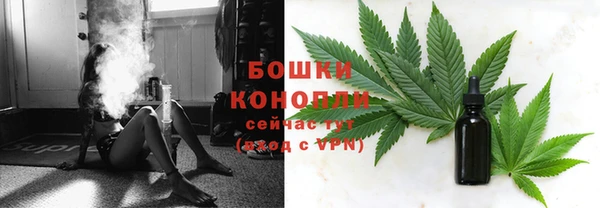 индика Бронницы