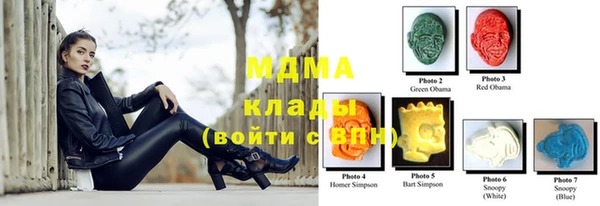 индика Бронницы