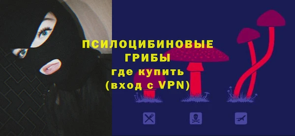 jwh Бородино