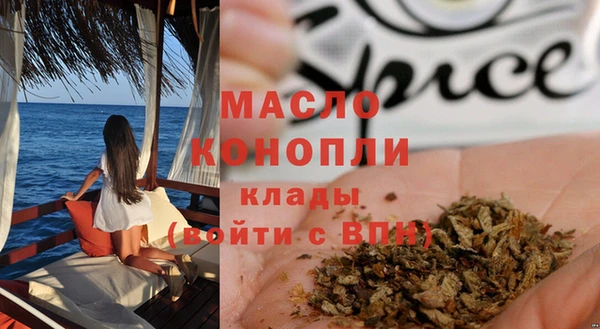 индика Бронницы