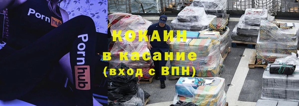 индика Бронницы