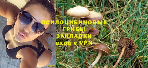 jwh Бородино