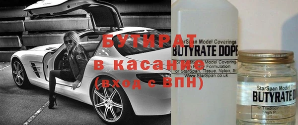 индика Бронницы