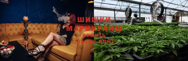 индика Бронницы